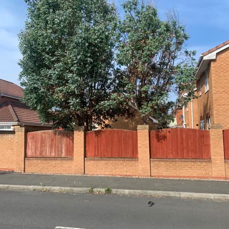 Tree pruned back from the road above a fence