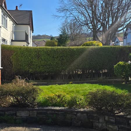 Front garden hedge trimmed and the lawn tidied