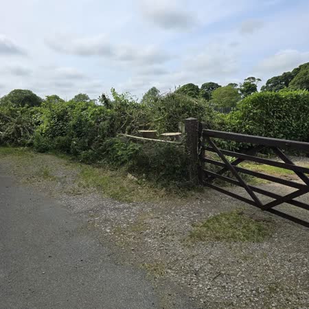 Lane-side hedges trimmed by a farm gate