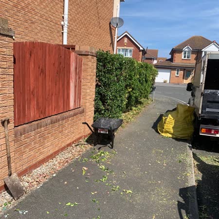 Hedge trimmed beside a fence, cuttings cleared
