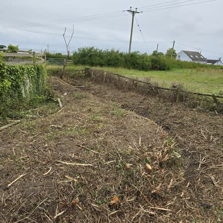 Field boundary hedge cleared back to the fence line