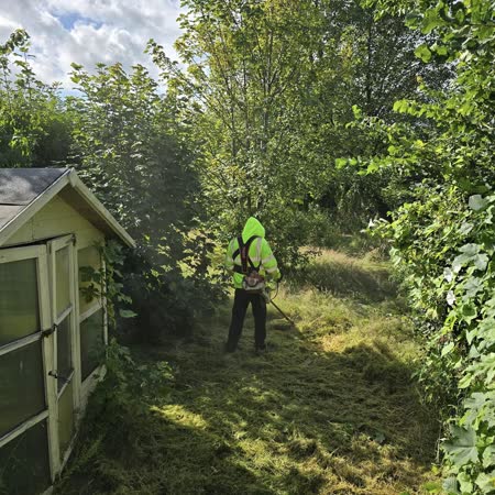 Strimming an overgrown garden beside a summer house