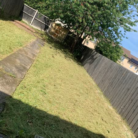 Lawn cut and tidied, ready to use again