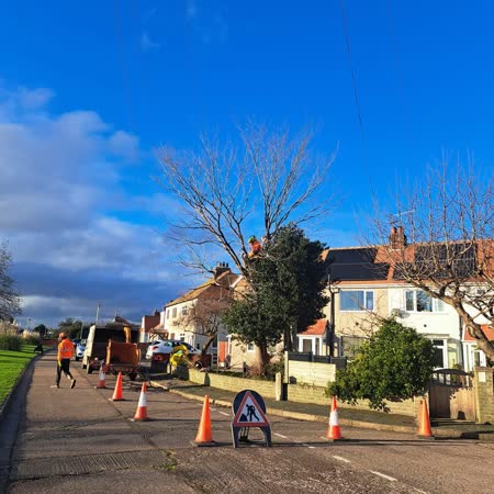 Roadside tree work with cones and traffic management