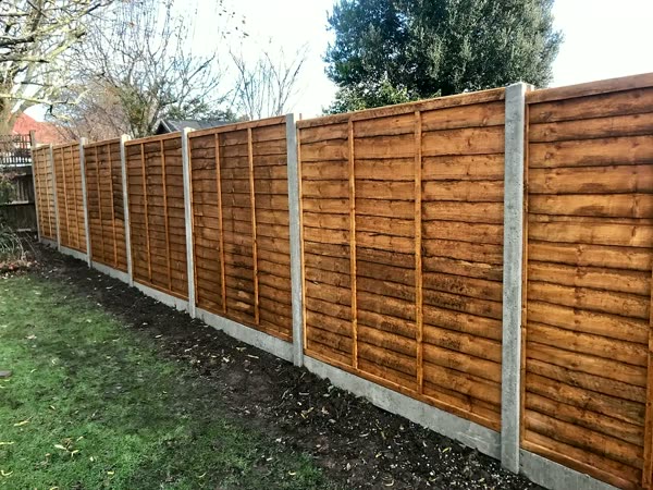 New lap panel fencing on concrete posts along a garden boundary