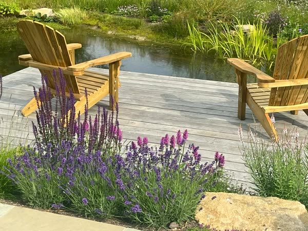 Landscaped garden with paving, decking, a pond and lavender borders