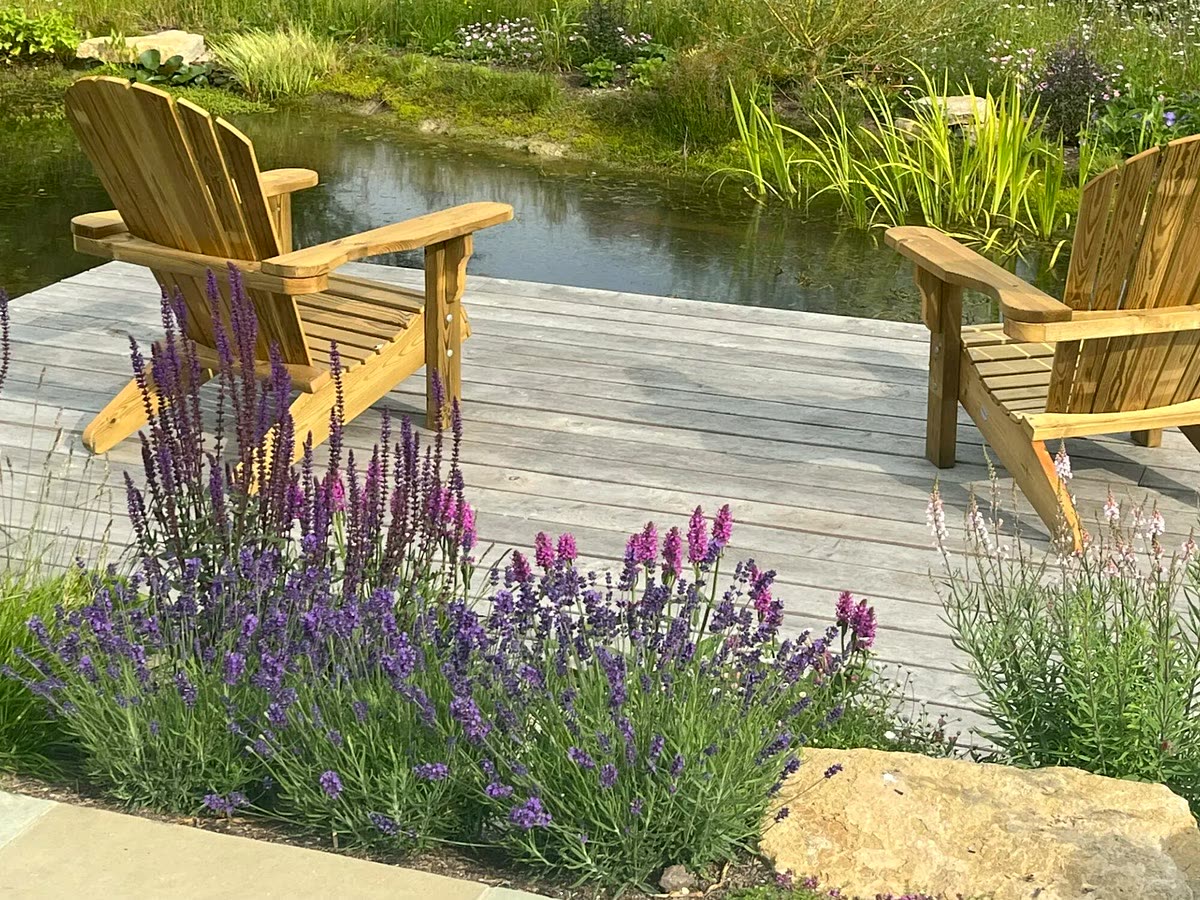 Landscaped garden with paving, decking, a pond and lavender borders